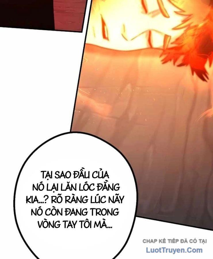 vong-choi-thu-hai-cua-chien-binh-cuong-no-97