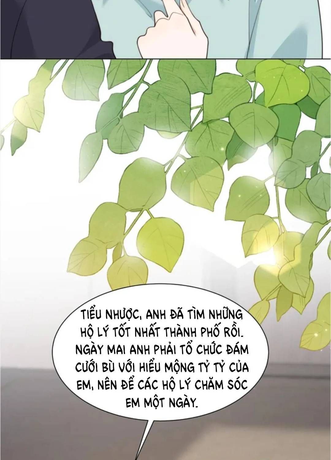 ket-hon-voi-ong-chong-thuc-vat-23