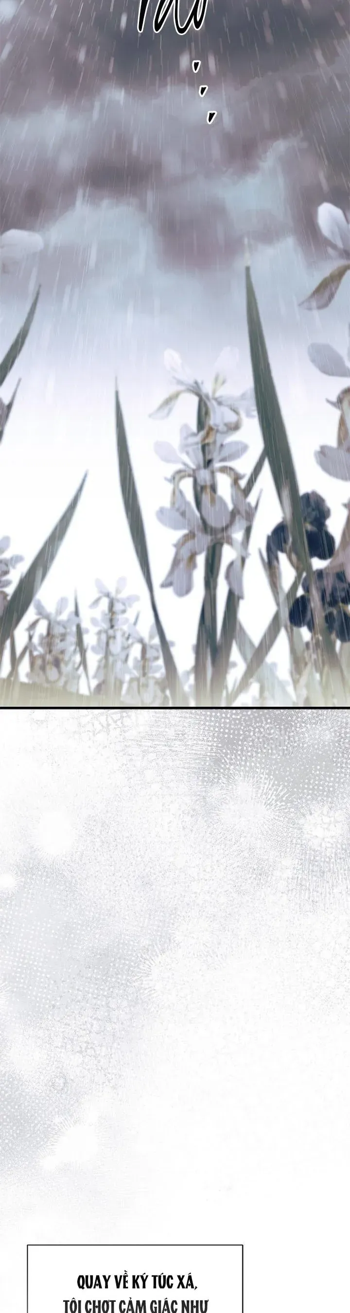 Tôi Không Muốn Làm Người Mai Mối Chap 79 - Next Chap 80