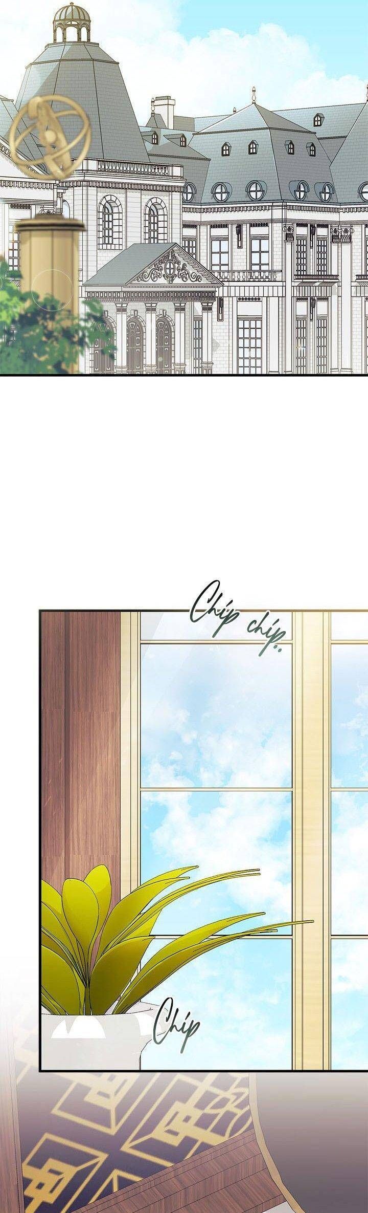 Tôi Không Muốn Làm Người Mai Mối Chap 92 - Next Chap 93