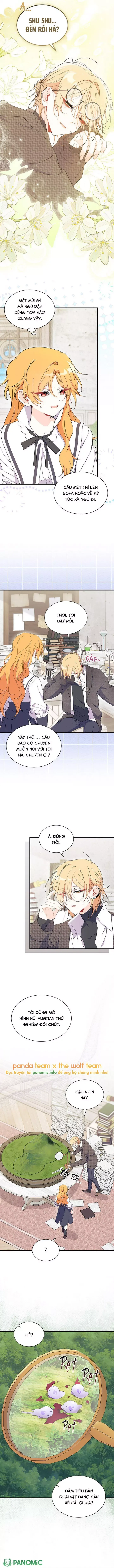 Tôi Không Muốn Làm Người Mai Mối Chap 97 - Next Chap 98