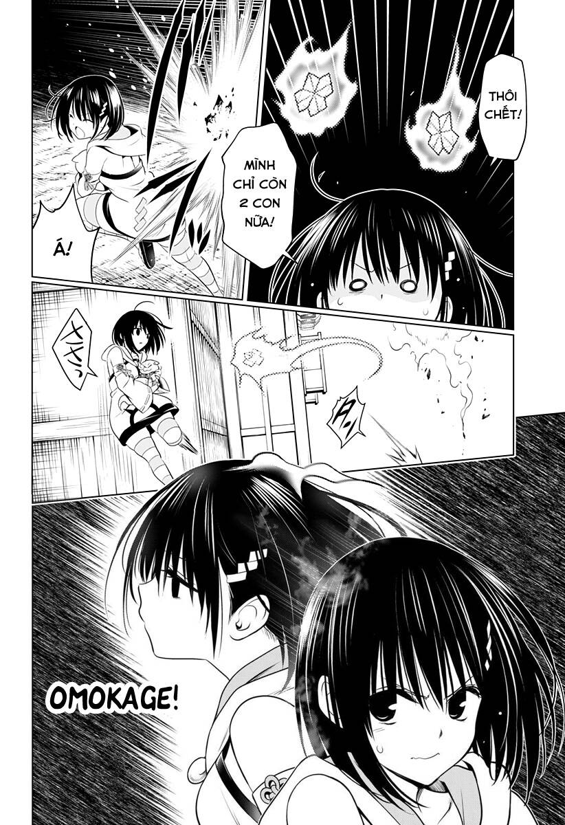 Nhẫn Giả Diệt Quỷ Chap 101 - Next Chap 102