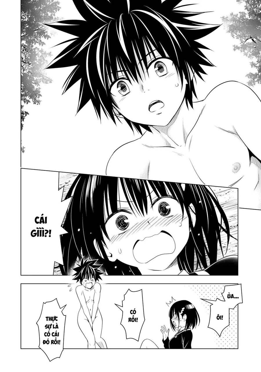 Nhẫn Giả Diệt Quỷ Chap 117 - Next Chap 118