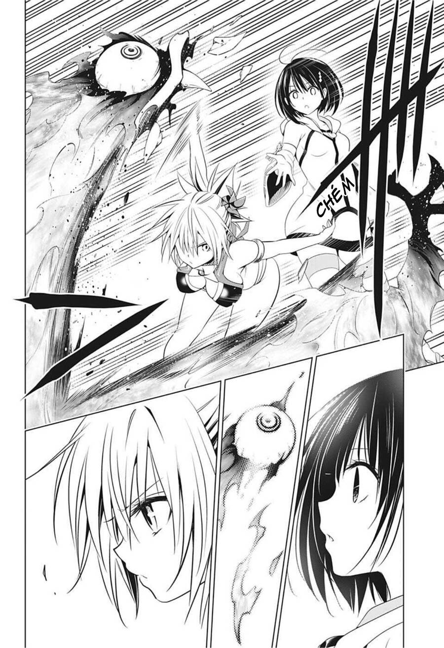 Nhẫn Giả Diệt Quỷ Chap 49 - Next Chap 50