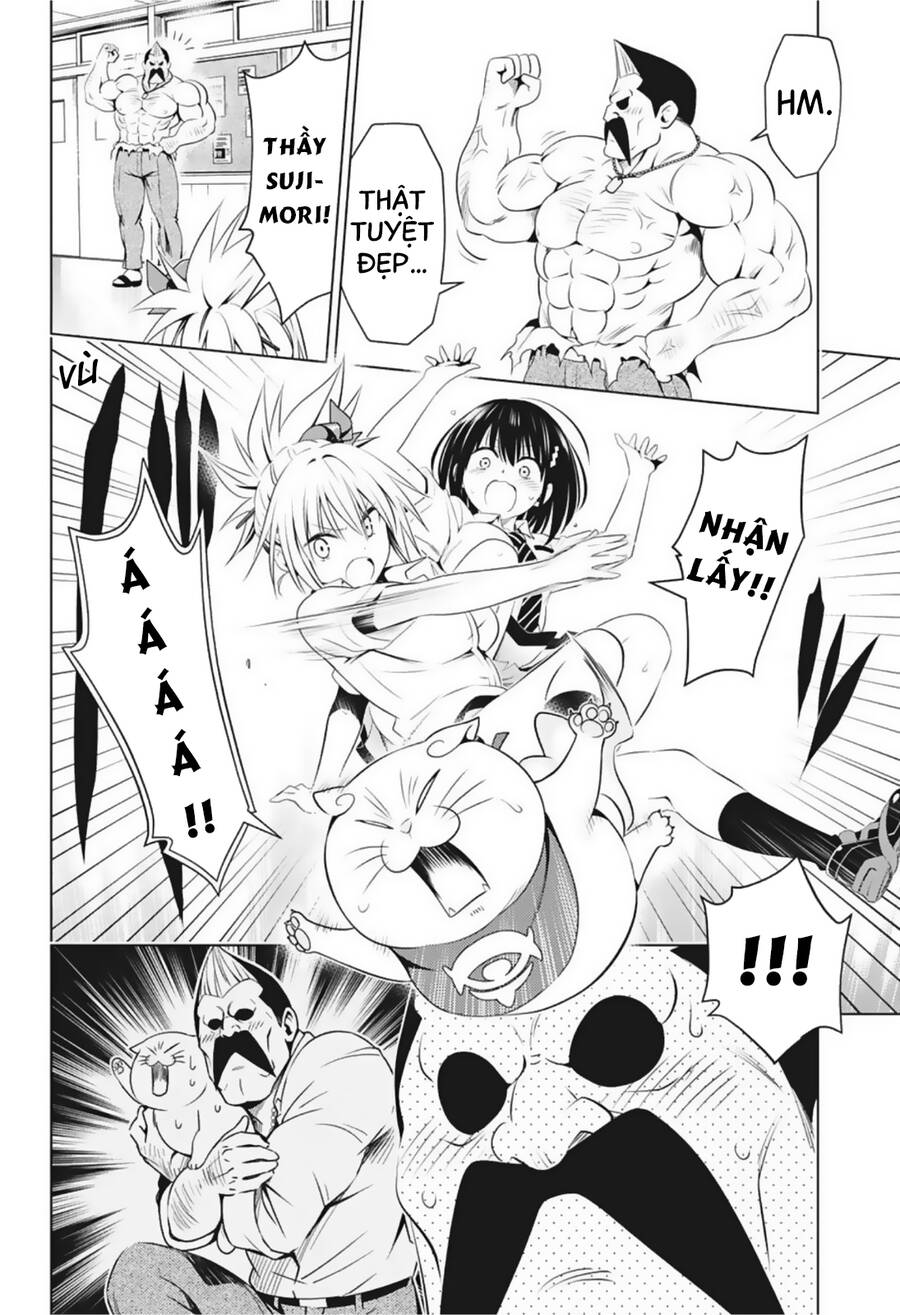 Nhẫn Giả Diệt Quỷ Chap 80 - Next Chap 81