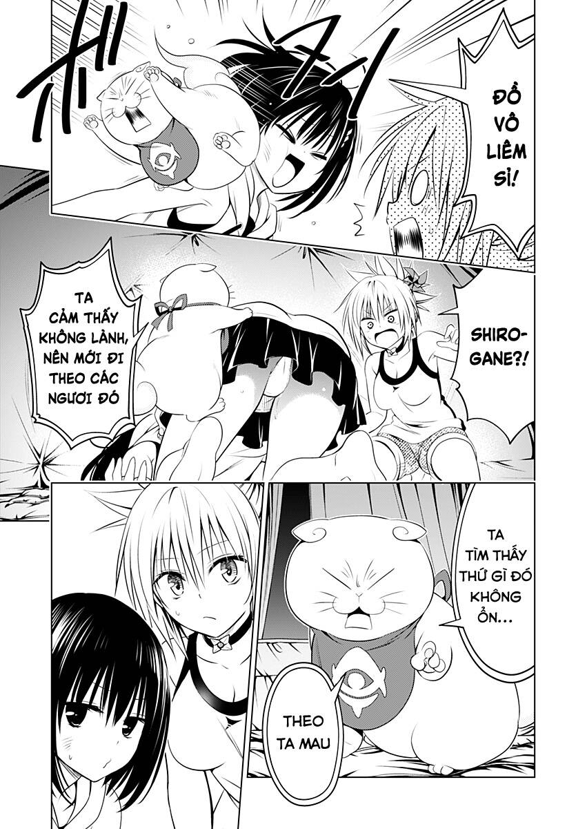 Nhẫn Giả Diệt Quỷ Chap 97 - Next Chap 98