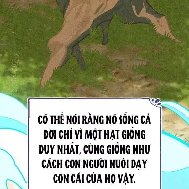 Healer Cấp S Chữa Trị Cho Quái Vật Chap 36 - Next Chap 37