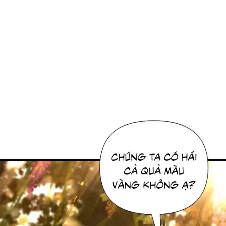 Healer Cấp S Chữa Trị Cho Quái Vật Chap 36 - Next Chap 37