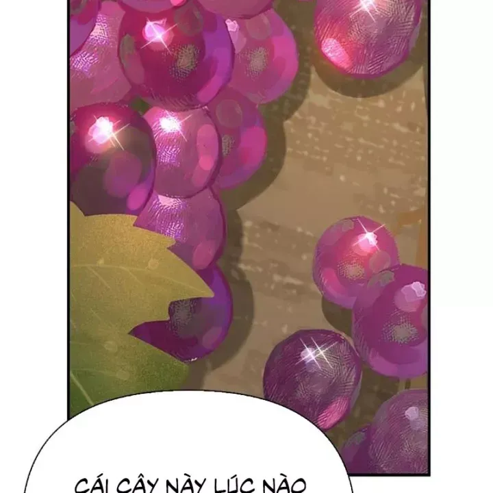 Healer Cấp S Chữa Trị Cho Quái Vật Chap 36 - Next Chap 37