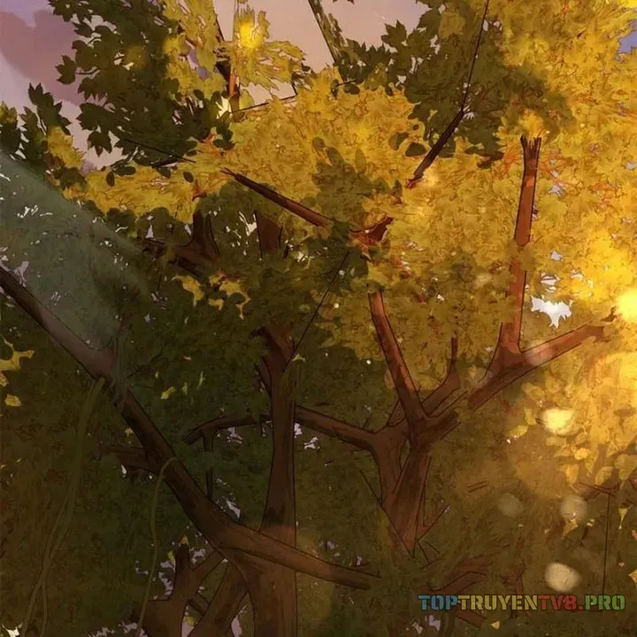 Healer Cấp S Chữa Trị Cho Quái Vật Chap 36 - Next Chap 37