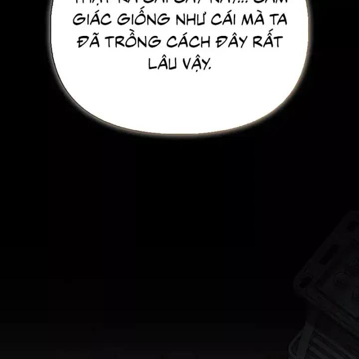 Healer Cấp S Chữa Trị Cho Quái Vật Chap 36 - Next Chap 37