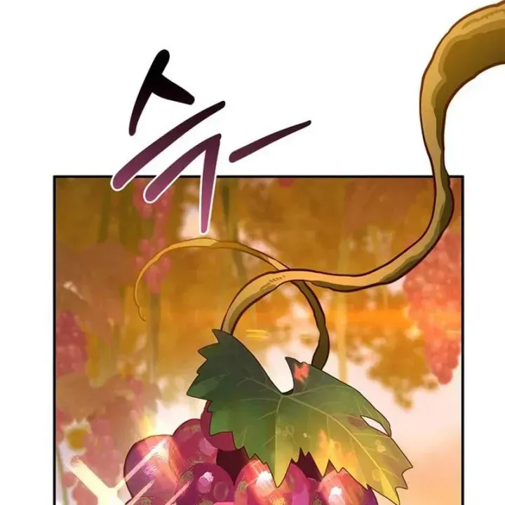 Healer Cấp S Chữa Trị Cho Quái Vật Chap 36 - Next Chap 37