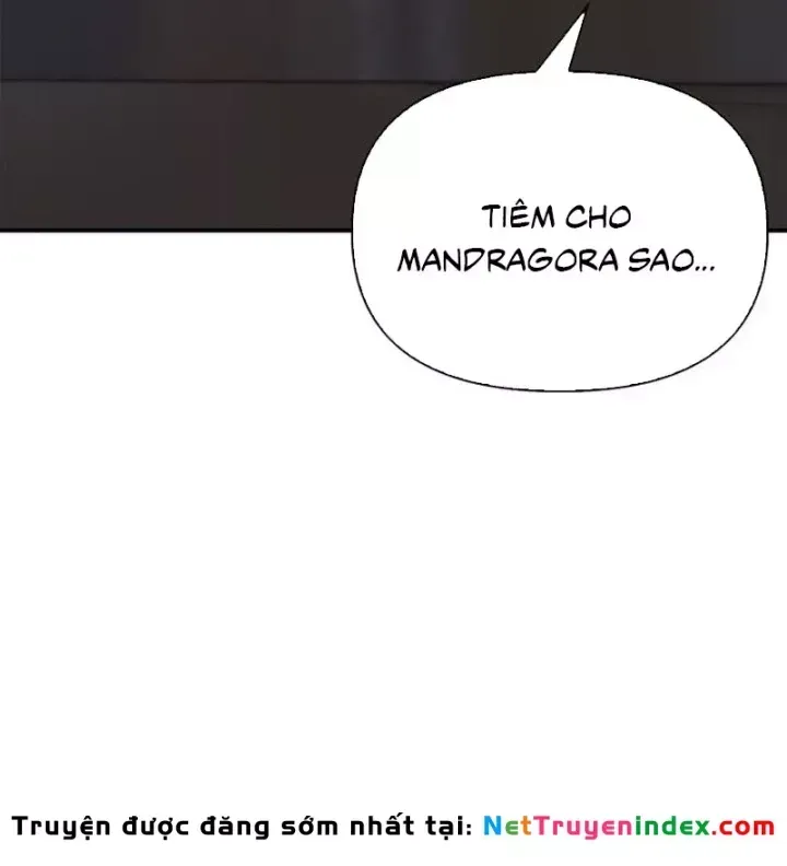 Healer Cấp S Chữa Trị Cho Quái Vật Chap 37 - Next Chap 38