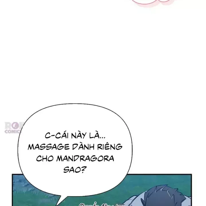 Healer Cấp S Chữa Trị Cho Quái Vật Chap 37 - Next Chap 38