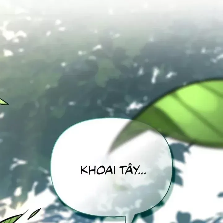 Healer Cấp S Chữa Trị Cho Quái Vật Chap 38 - Next Chap 39