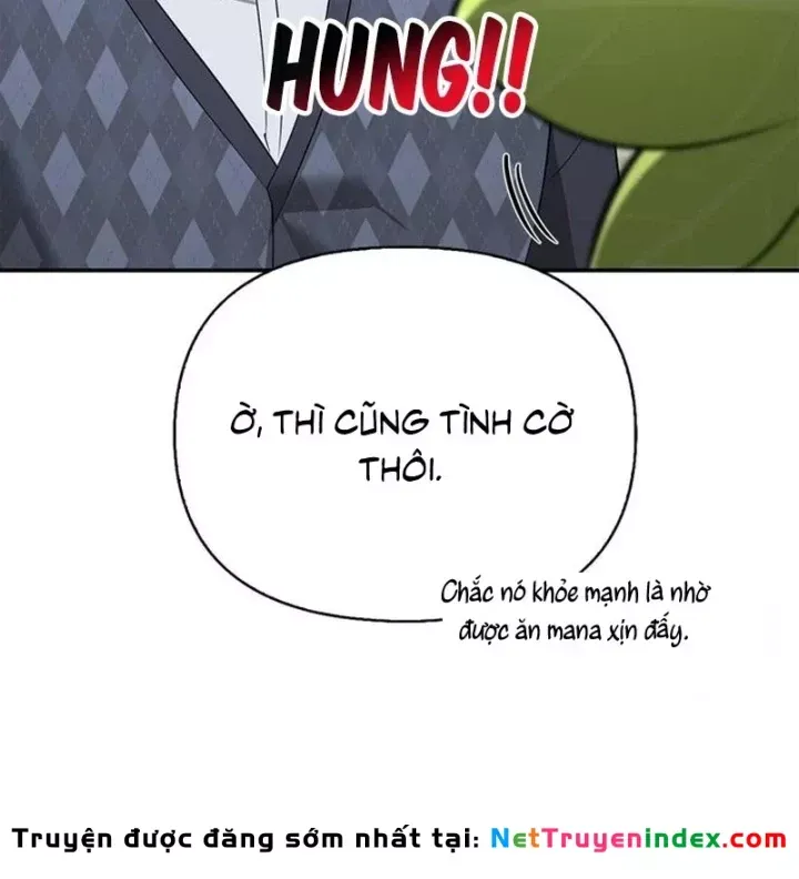 Healer Cấp S Chữa Trị Cho Quái Vật Chap 39 - Next Chap 40