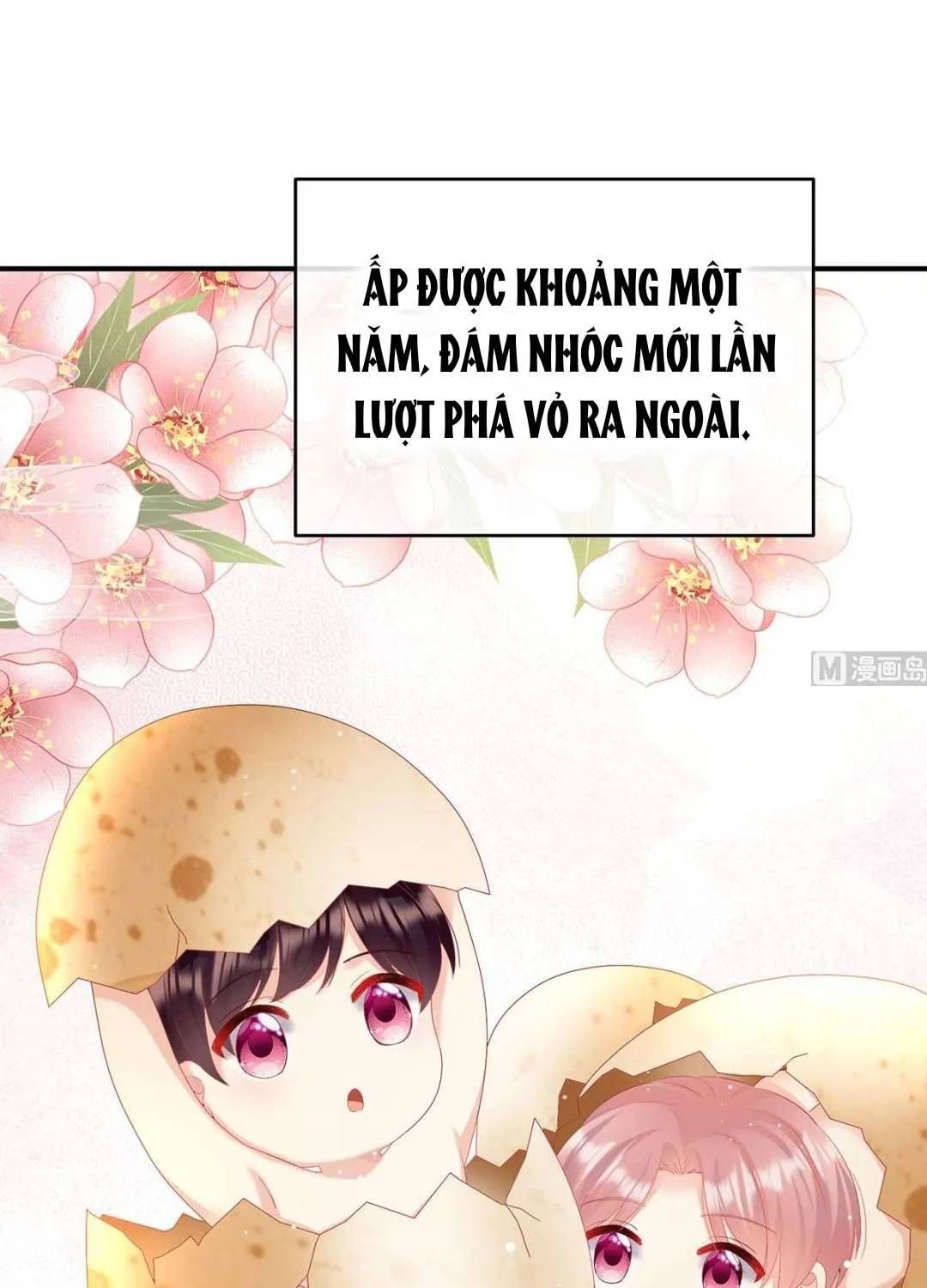 Kiều Phu Có Hỉ Chap 95 - Next Chap 94