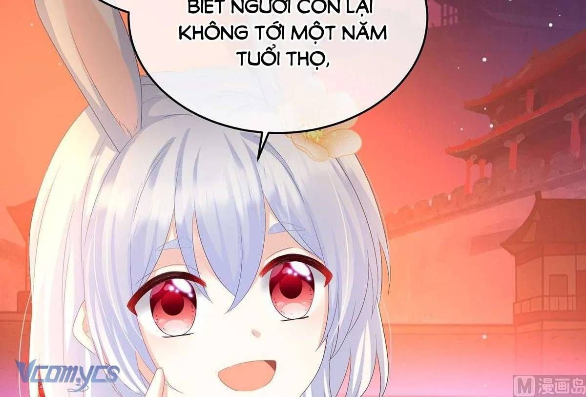 Kiều Phu Có Hỉ Chap 96 - Next Chap 95