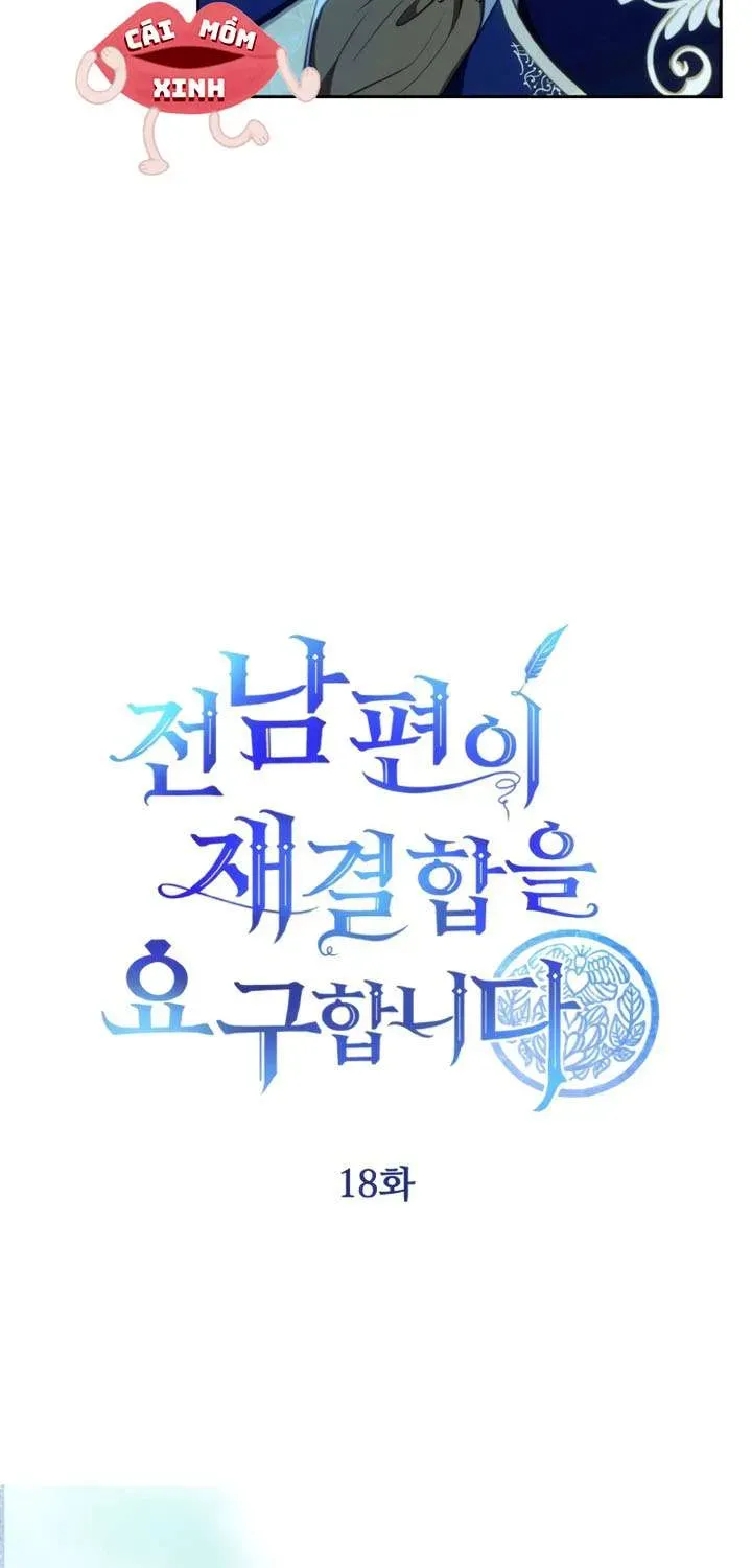 Khi Người Chồng Cũ Của Tôi Đòi Tái Hợp Chương 18 - Trang 5