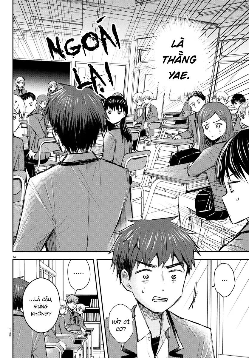 Cậu Là Cỏ 4 Lá