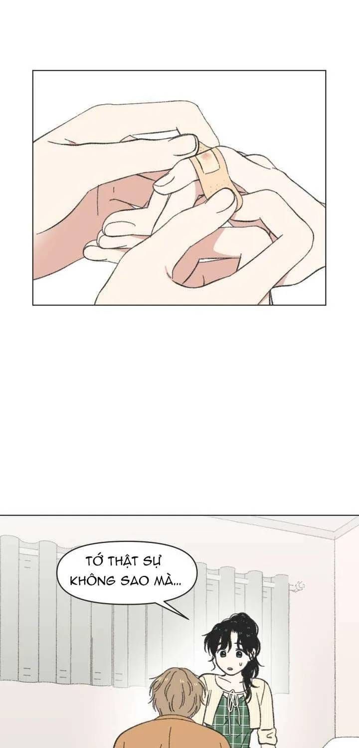 Seasons Of Lovesome Chap 61 - Next Chap 62