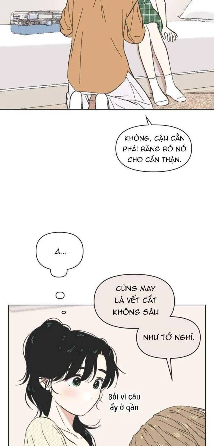 Seasons Of Lovesome Chap 61 - Next Chap 62