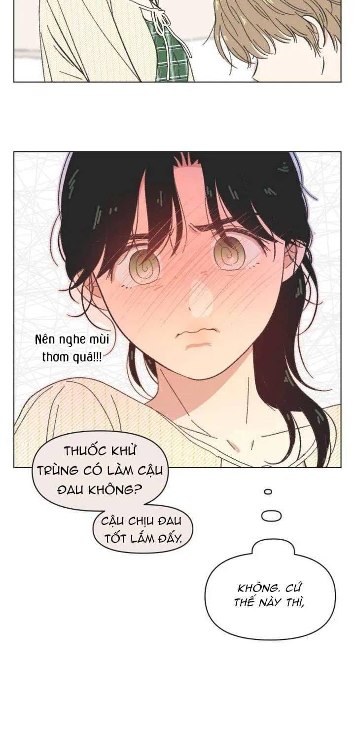 Seasons Of Lovesome Chap 61 - Next Chap 62