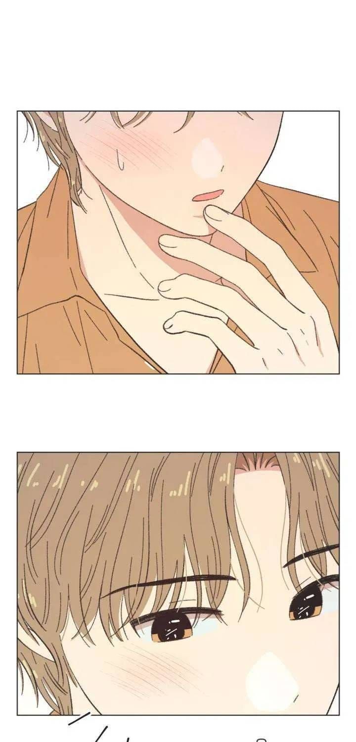 Seasons Of Lovesome Chap 61 - Next Chap 62