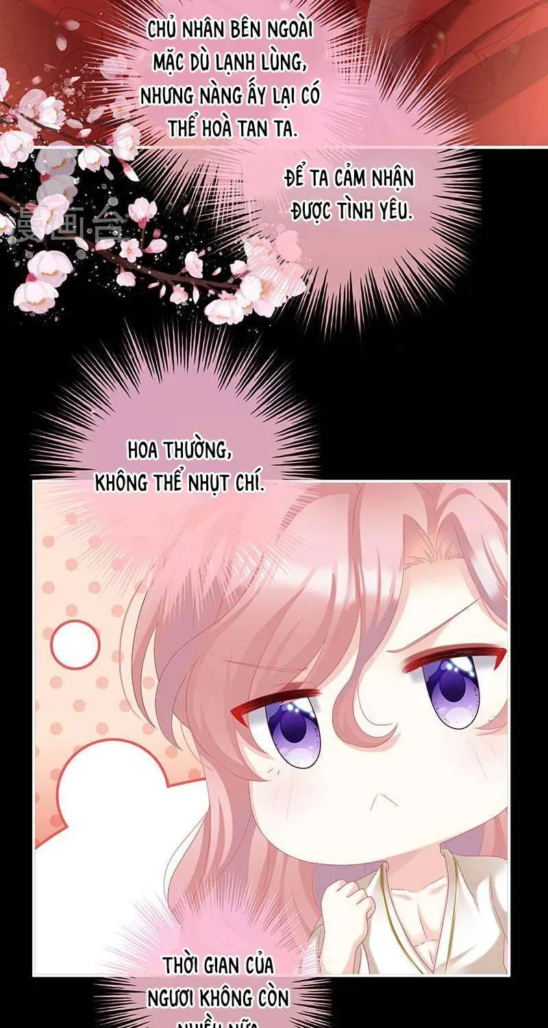 Kiều Phu Có Hỷ Chương 72 - Trang 35