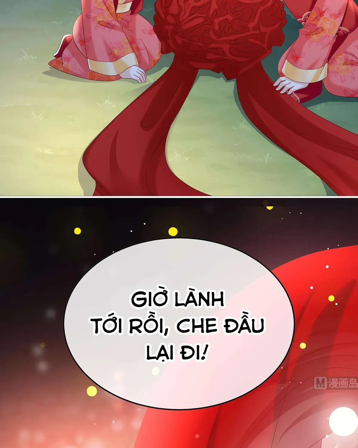 Kiều Phu Có Hỷ Chương 87 - Trang 28