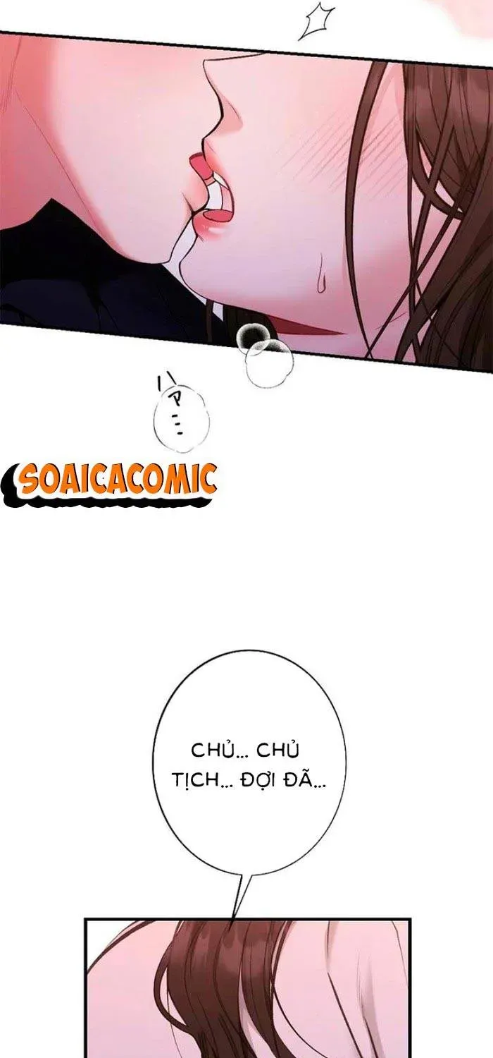 Lần Đầu Của Tổng Tài Chương 1.1 - Trang 3