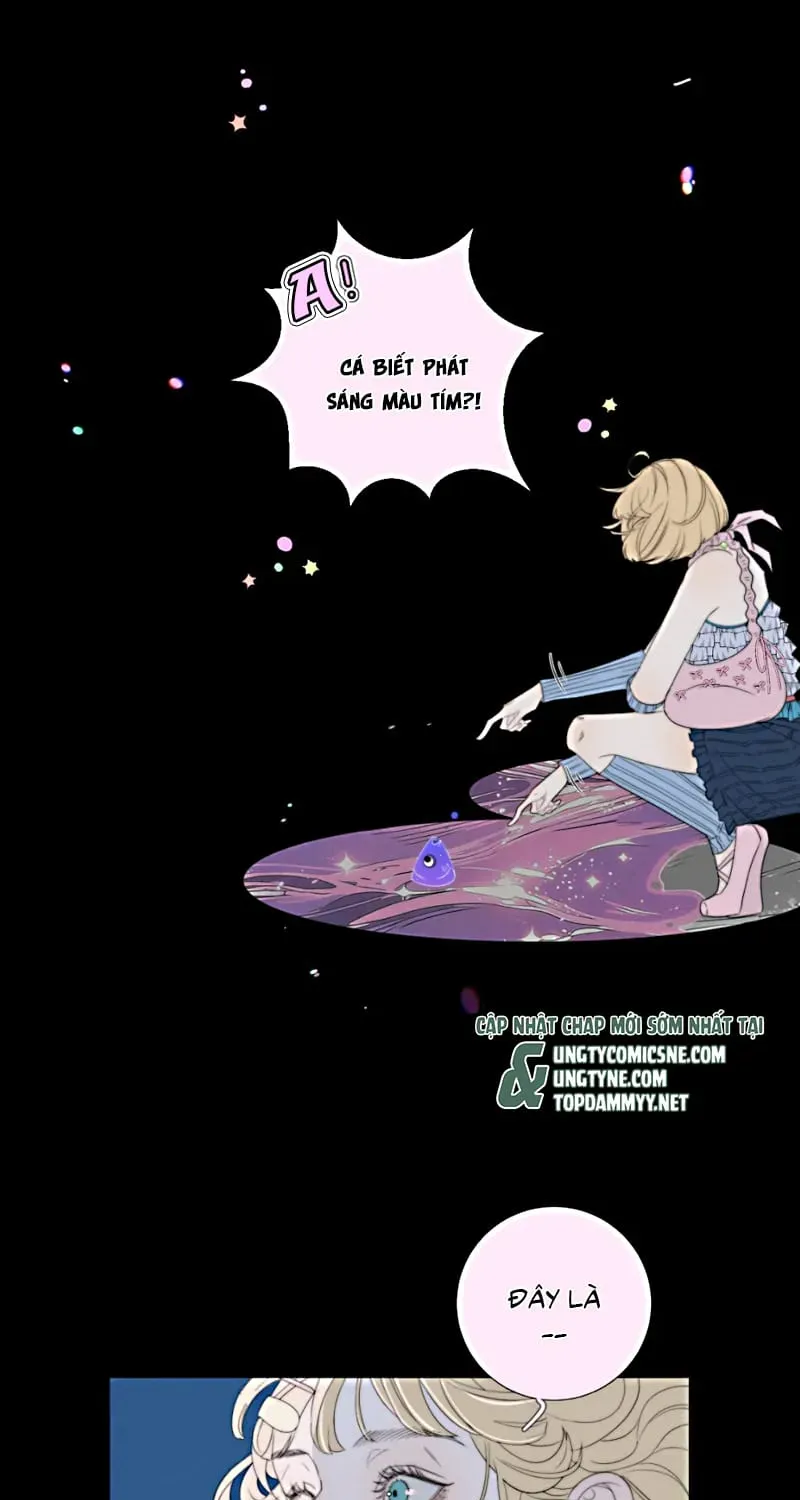 Hội Chứng Mẫn Cảm Cao Chương 5 - Trang 17