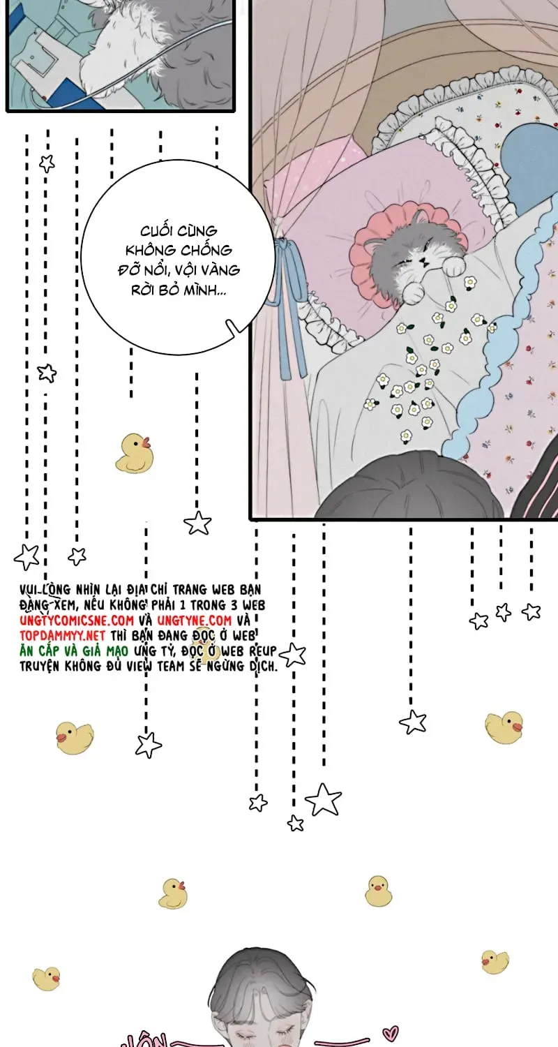 Hội Chứng Mẫn Cảm Cao Chương 6 - Trang 19