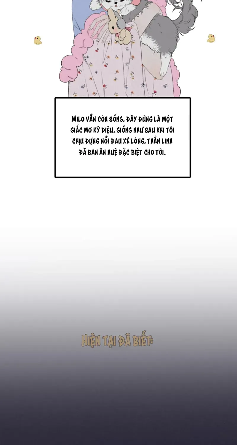 Hội Chứng Mẫn Cảm Cao Chương 6 - Trang 21