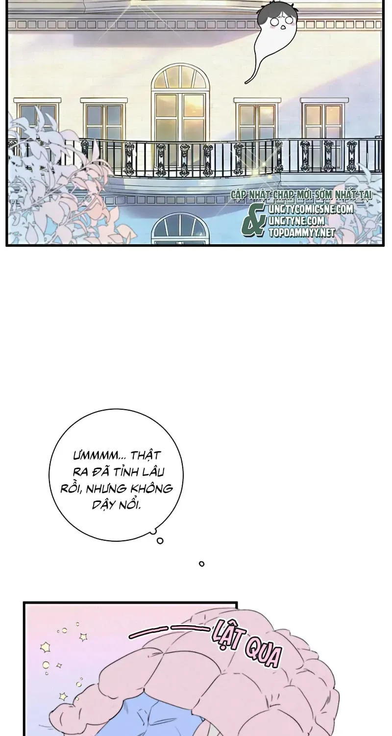 Hội Chứng Mẫn Cảm Cao Chương 8 - Trang 19