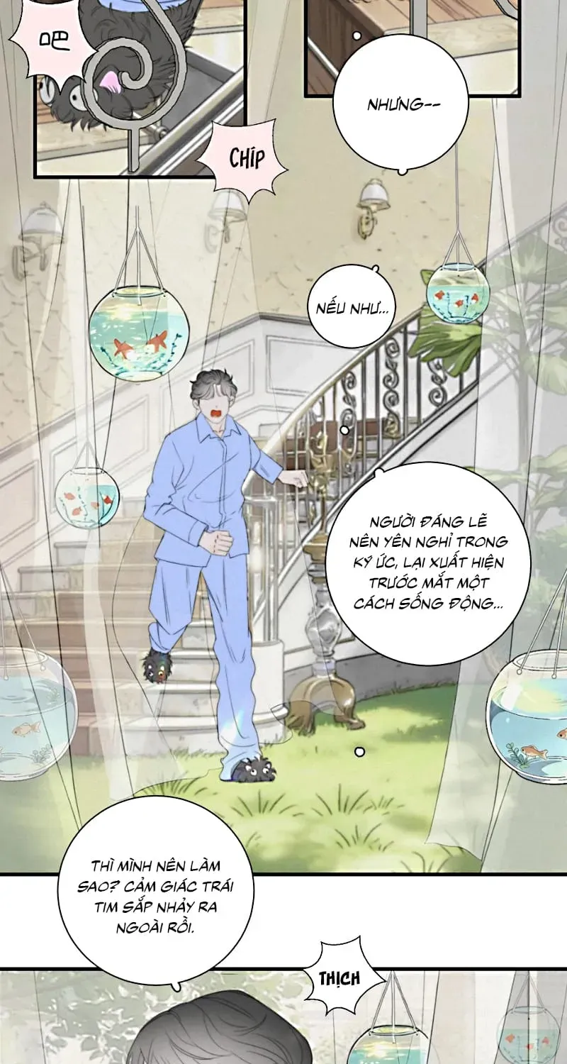 Hội Chứng Mẫn Cảm Cao Chương 8 - Trang 31