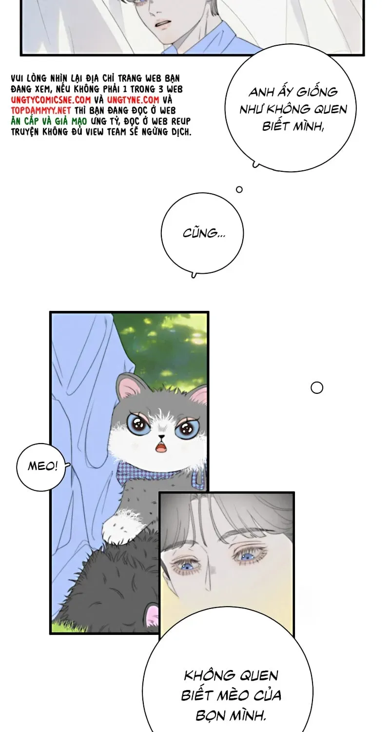 Hội Chứng Mẫn Cảm Cao Chương 9 - Trang 13