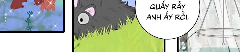 Hội Chứng Mẫn Cảm Cao Chương 9 - Trang 10