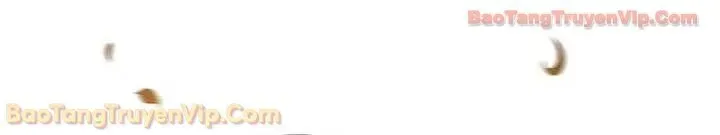 Thiên Tài Ma Pháp Sư Giấu Nghề Chap 135 - Next Chap 136