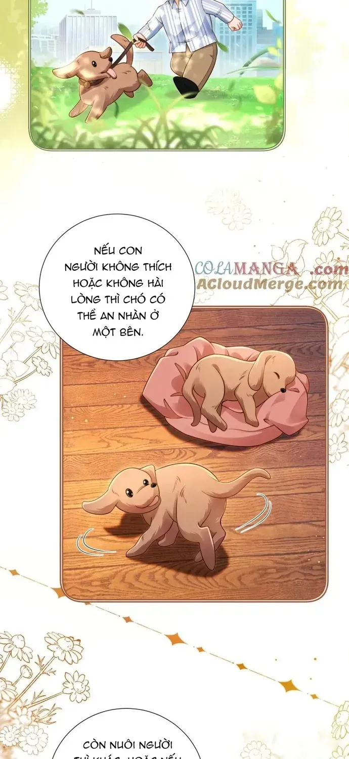 Chỉ Là Thấy Sắc Nổi Lòng Tham Chap 62 - Next Chap 63