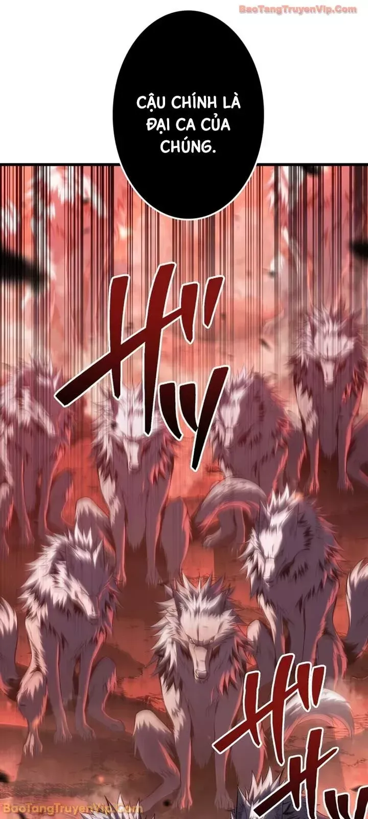 Trọng Sinh Giả Streaming Chap 37 - Next Chap 38