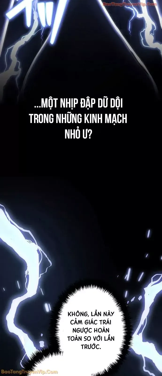 Trọng Sinh Giả Streaming Chap 39 - Next Chap 40