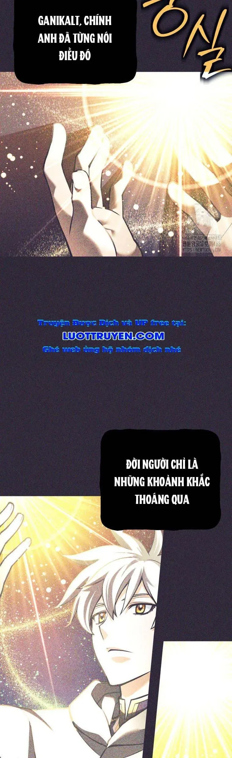 Tôi Rời Khỏi Tổ Đội Anh Hùng Chap 81 - Next Chap 82