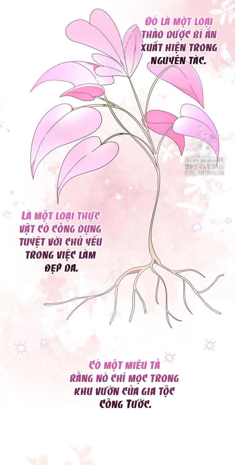 [ Ss2 ] Tôi Không Thuộc Về Nơi Này Chương 16 - Trang 41