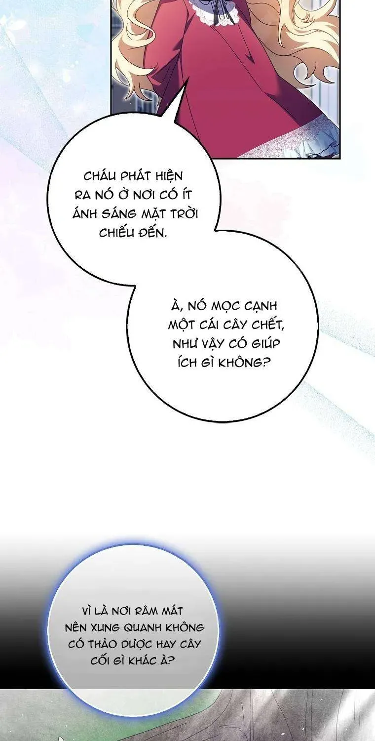 [ Ss2 ] Tôi Không Thuộc Về Nơi Này Chương 18 - Trang 25