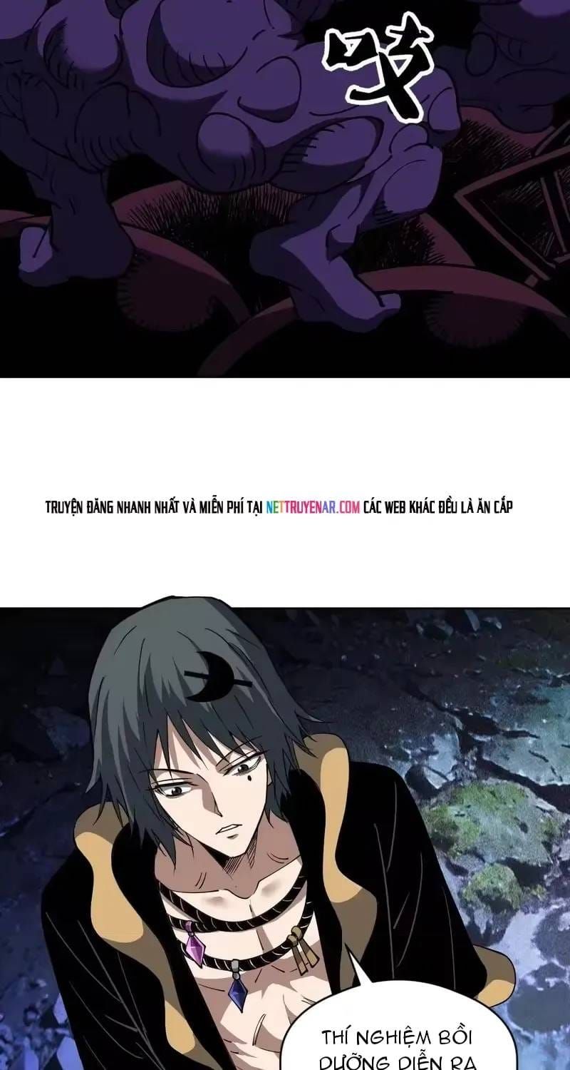 Toàn Cầu Ngự Thú: Ta Có Thể Thấy Lộ Tuyến Tiến Hoá - Chương 72 - Trang 28