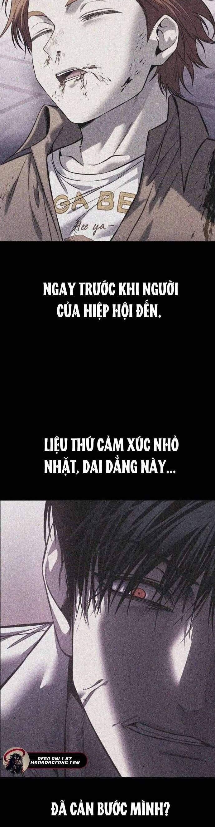 Sát Thủ Huyết Y