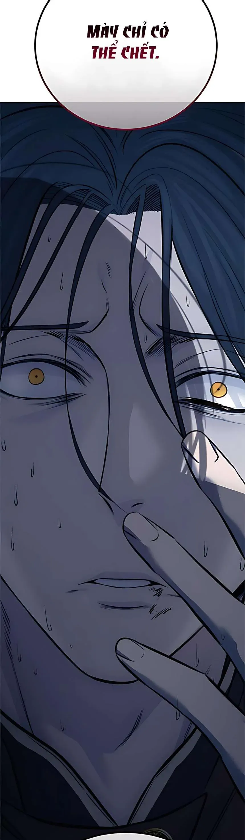 Sát Thủ Huyết Y