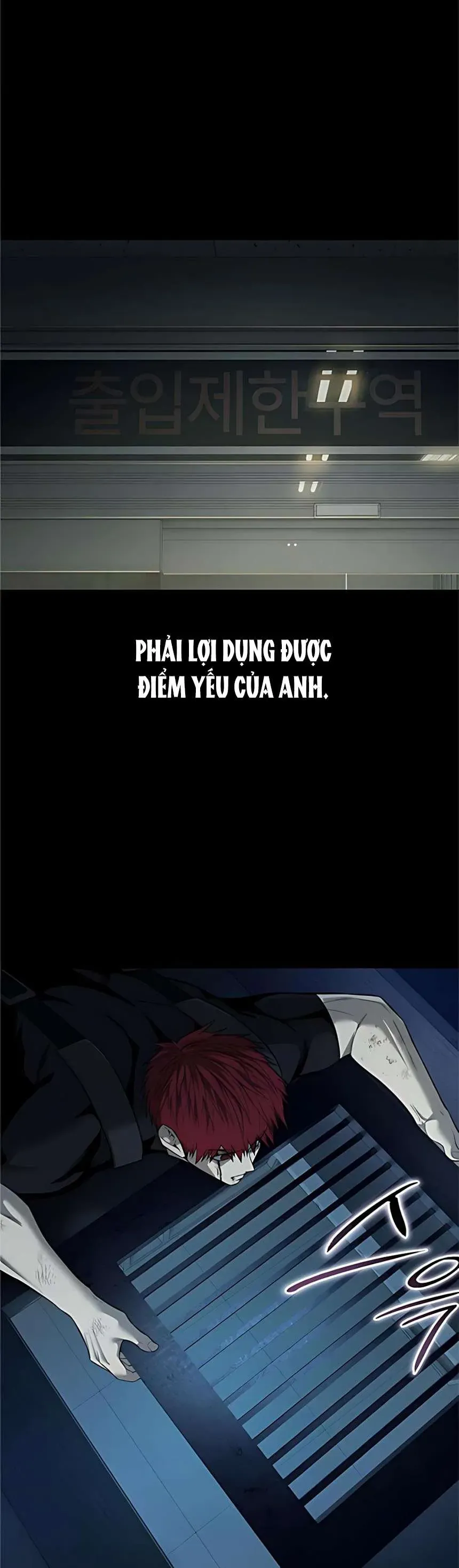 Sát Thủ Huyết Y