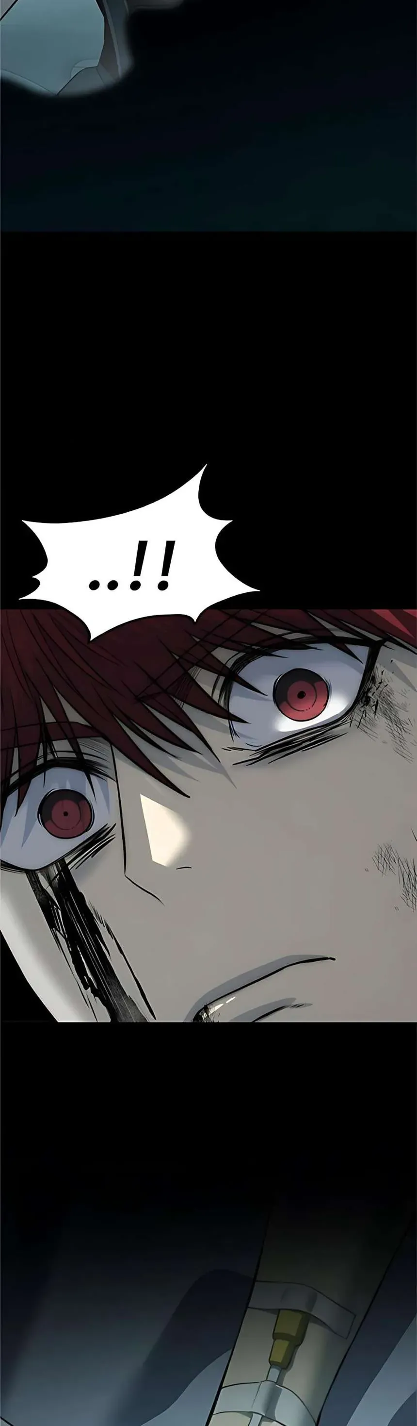 Sát Thủ Huyết Y